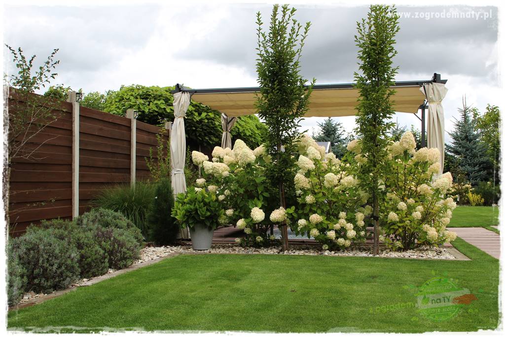 letni ogród 7