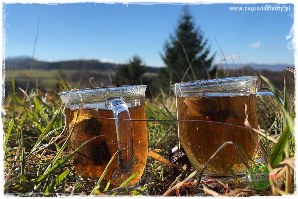 montaż pergoli ogrodowej 41