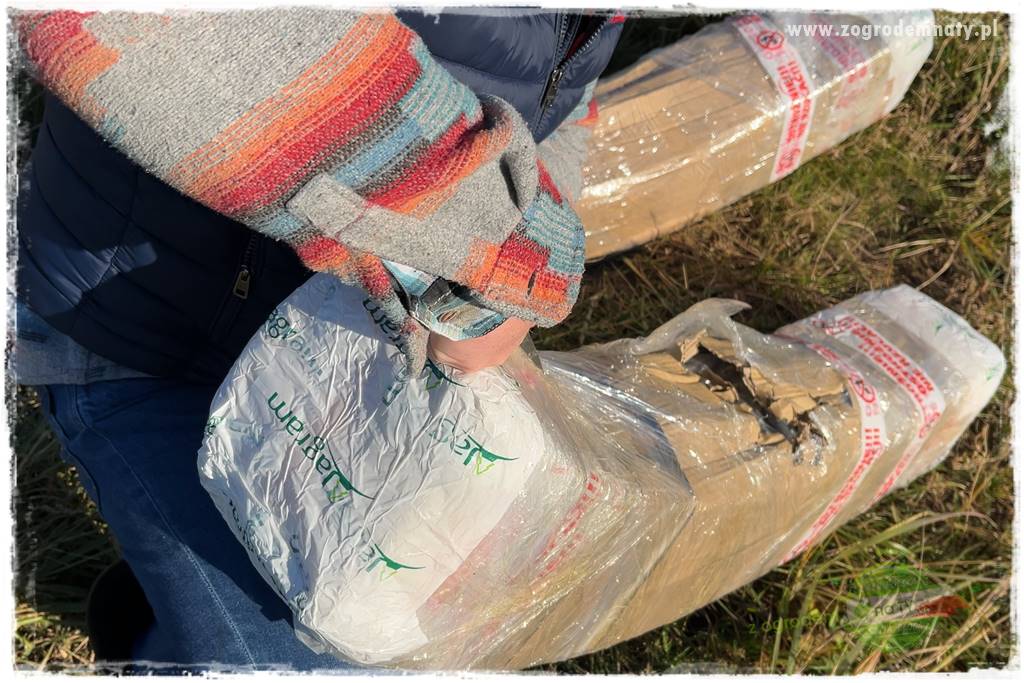 montaż pergoli ogrodowej 45