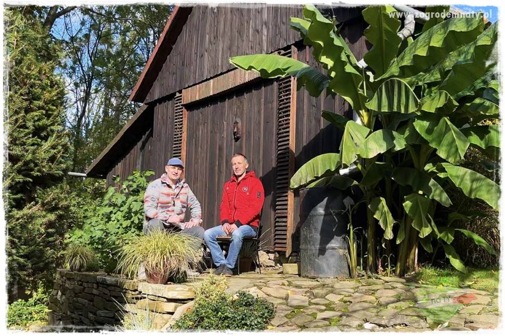 Ogrodowy zapał 16 Ogrodowy zapał 16