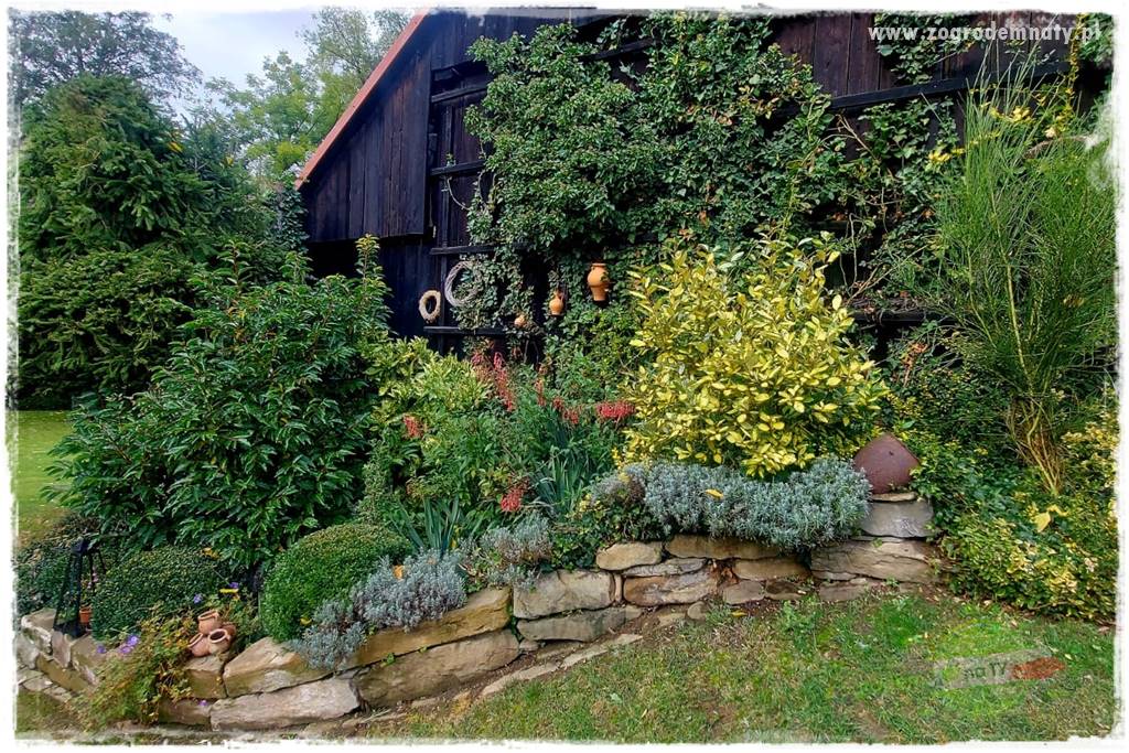 Ogrodowy zapał 2 Ogrodowy zapał 2