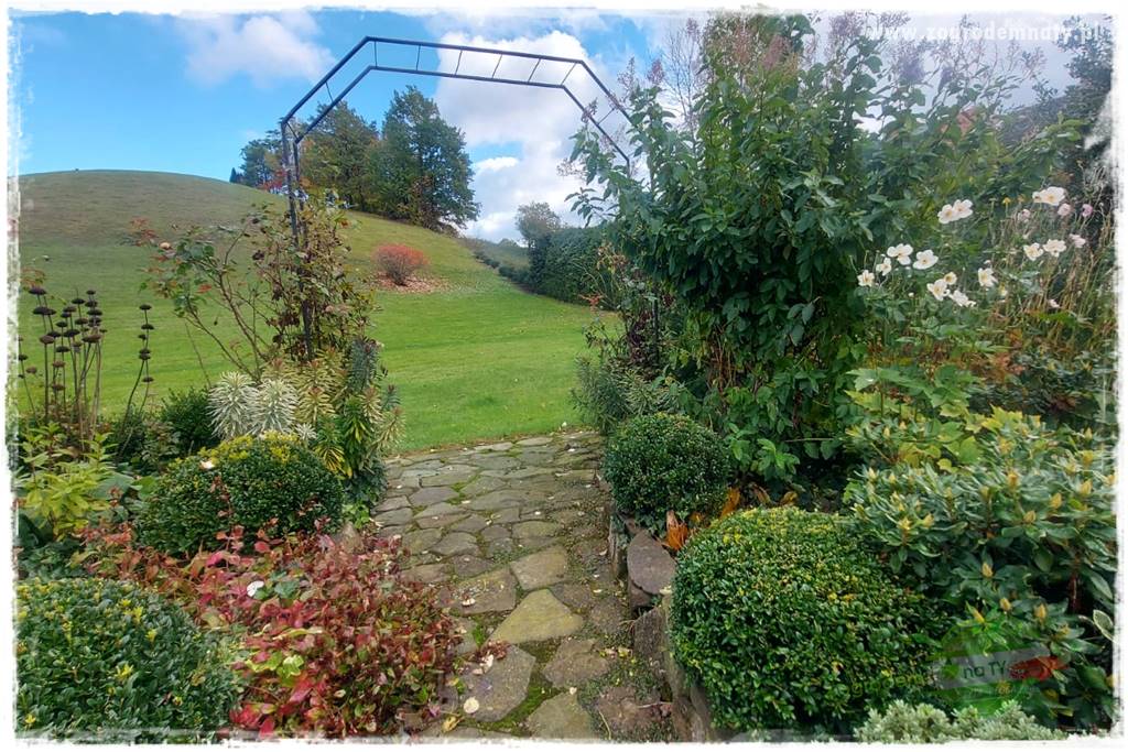 Ogrodowy zapał 20 Ogrodowy zapał 20