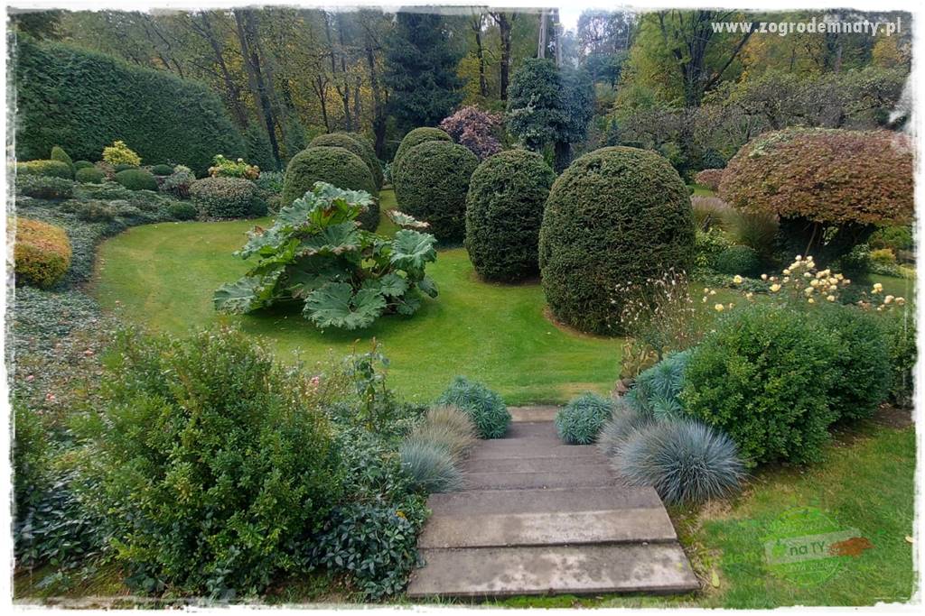 Ogrodowy zapał 202 Ogrodowy zapał 202