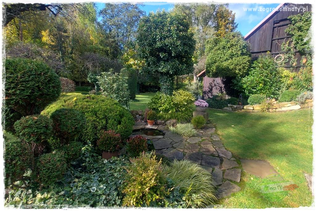 Ogrodowy zapał 203 Ogrodowy zapał 203