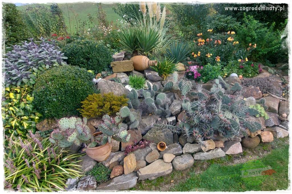 Ogrodowy zapał 204 Ogrodowy zapał 204