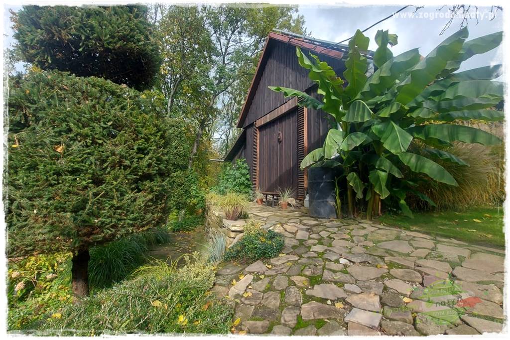 Ogrodowy zapał 206 Ogrodowy zapał 206