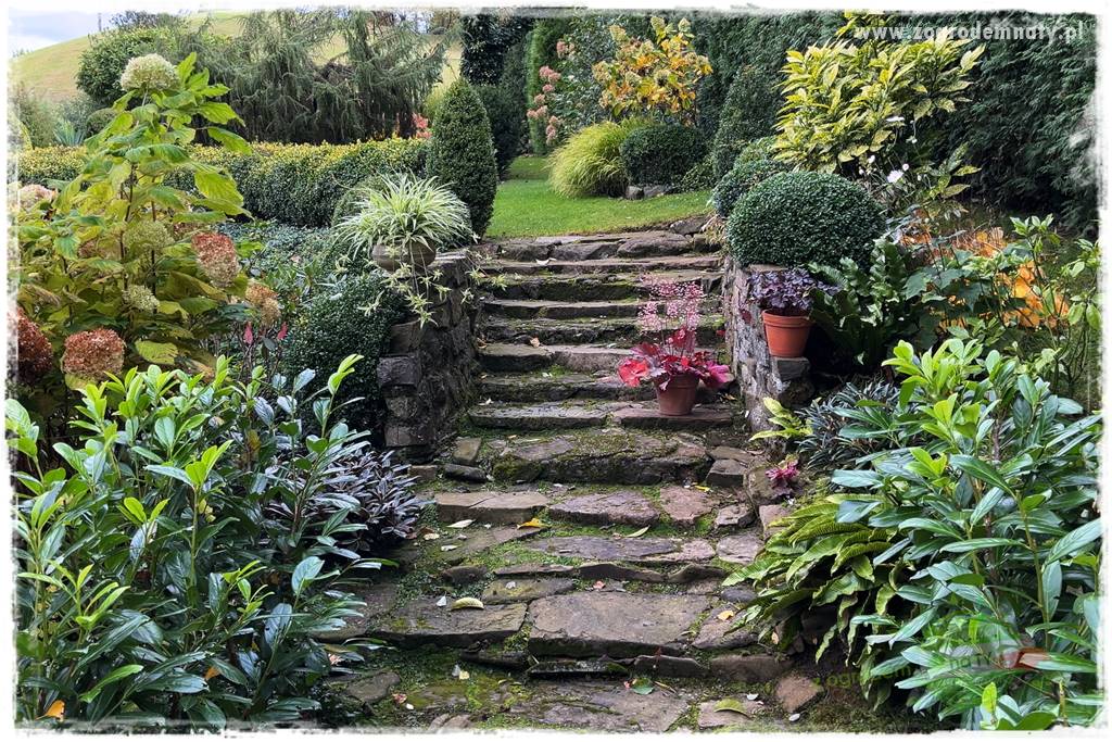 Ogrodowy zapał 207 Ogrodowy zapał 207