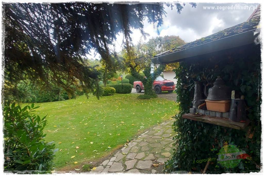 Ogrodowy zapał 209 Ogrodowy zapał 209