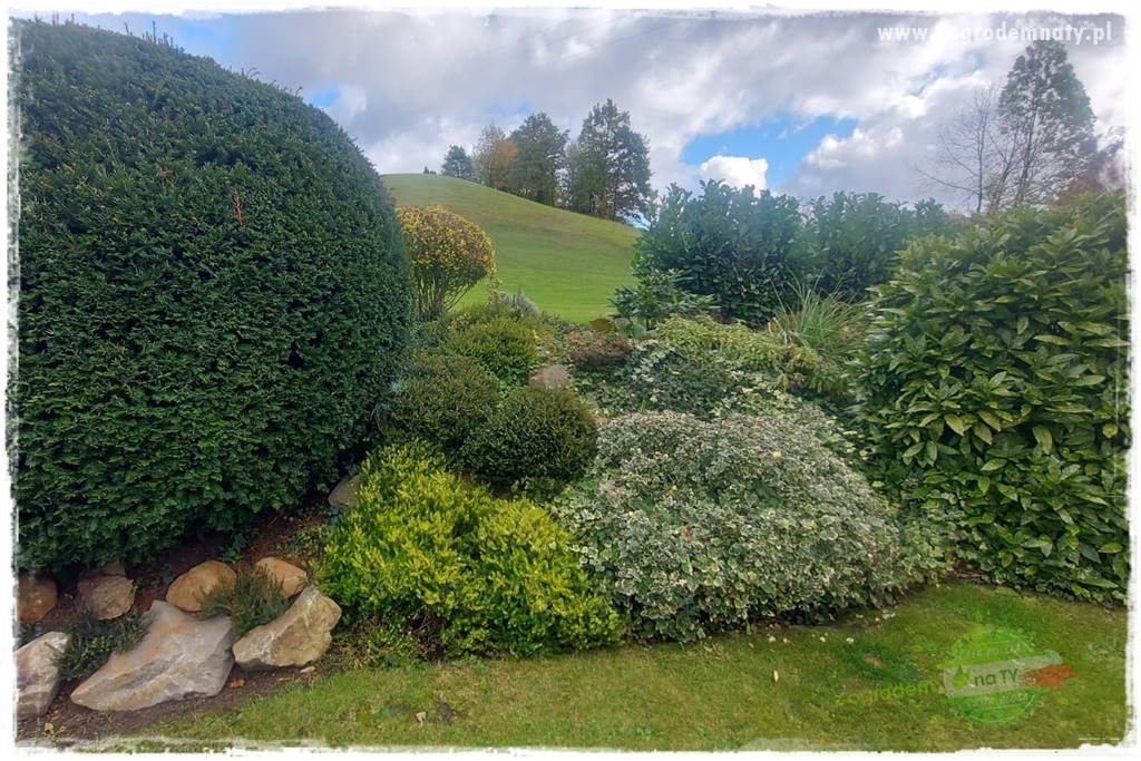 Ogrodowy zapał 21 Ogrodowy zapał 21