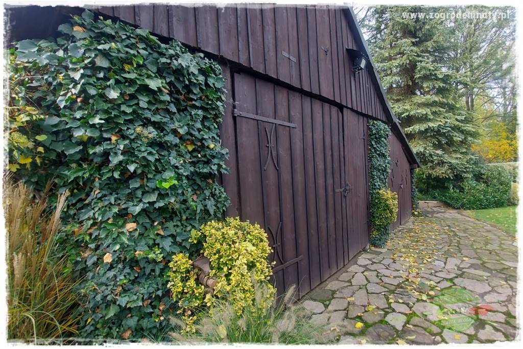 Ogrodowy zapał 210 Ogrodowy zapał 210