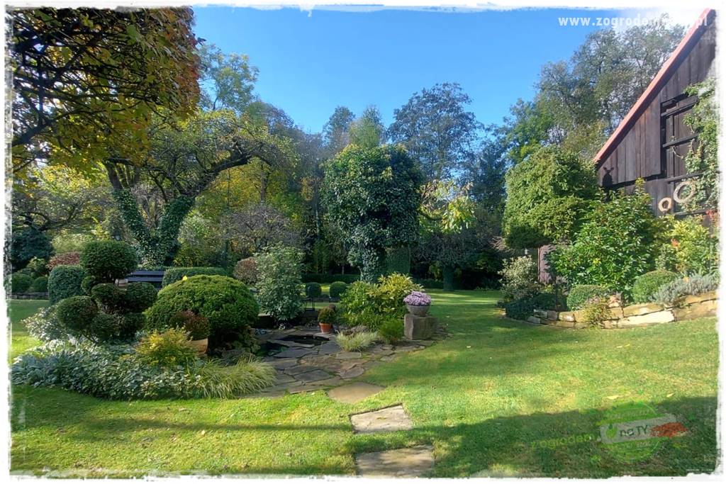 Ogrodowy zapał 22 Ogrodowy zapał 22