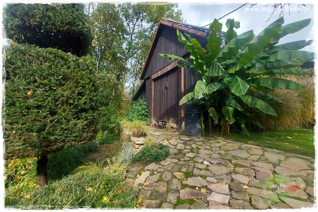 Ogrodowy zapał 23 Ogrodowy zapał 23