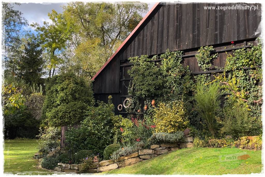 Ogrodowy zapał 25 Ogrodowy zapał 25