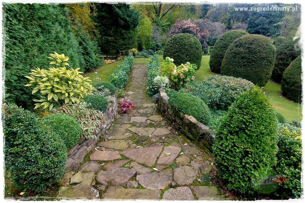 Ogrodowy zapał 4 Ogrodowy zapał 4