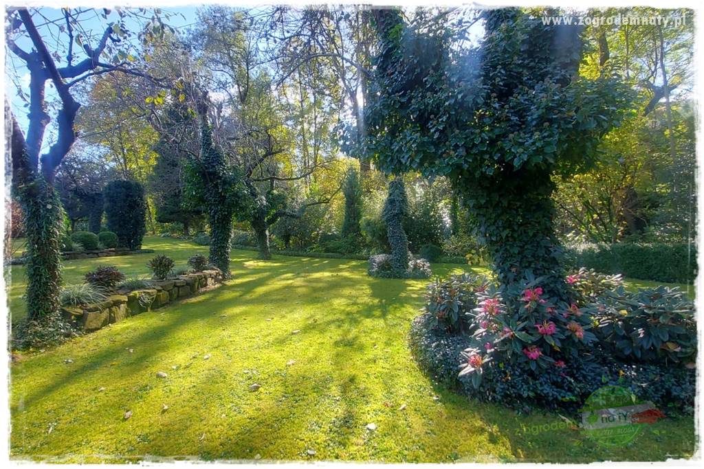 Ogrodowy zapał 400 Ogrodowy zapał 400