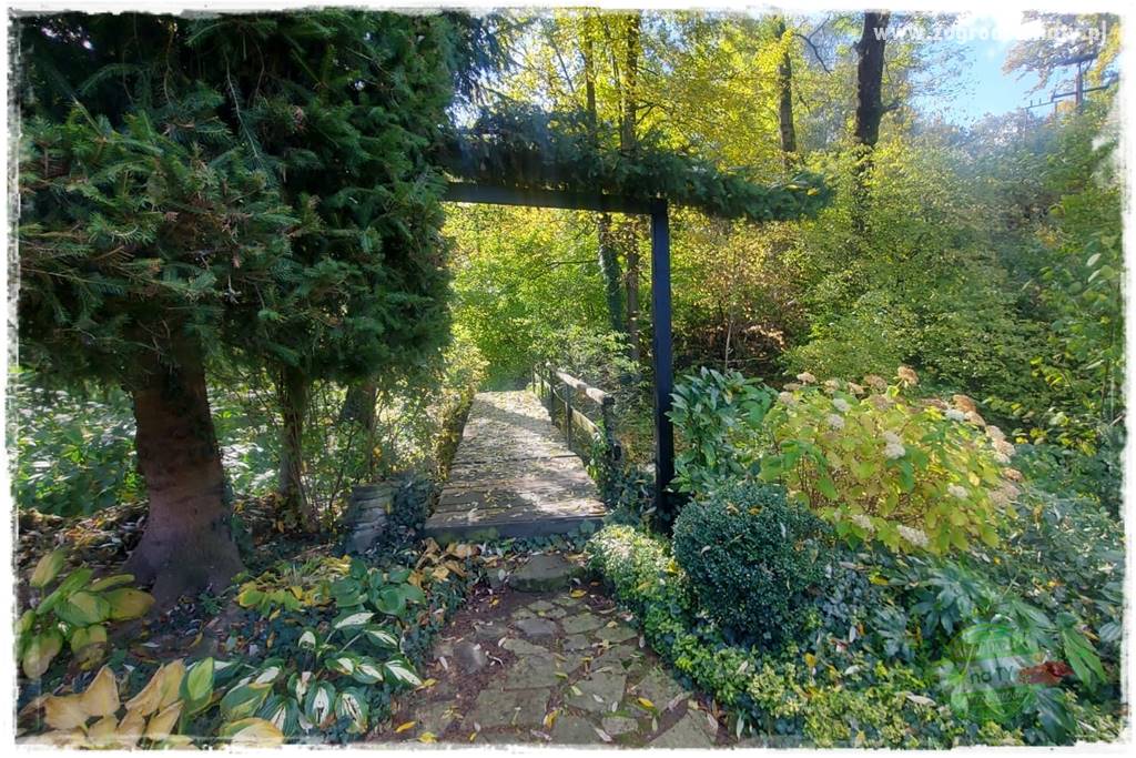 Ogrodowy zapał 401 Ogrodowy zapał 401