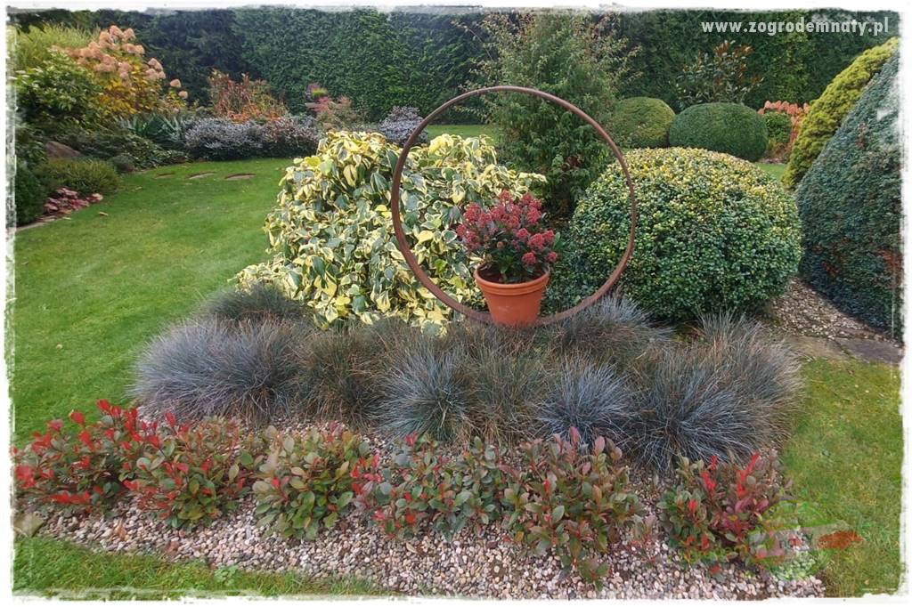 Ogrodowy zapał 402 Ogrodowy zapał 402