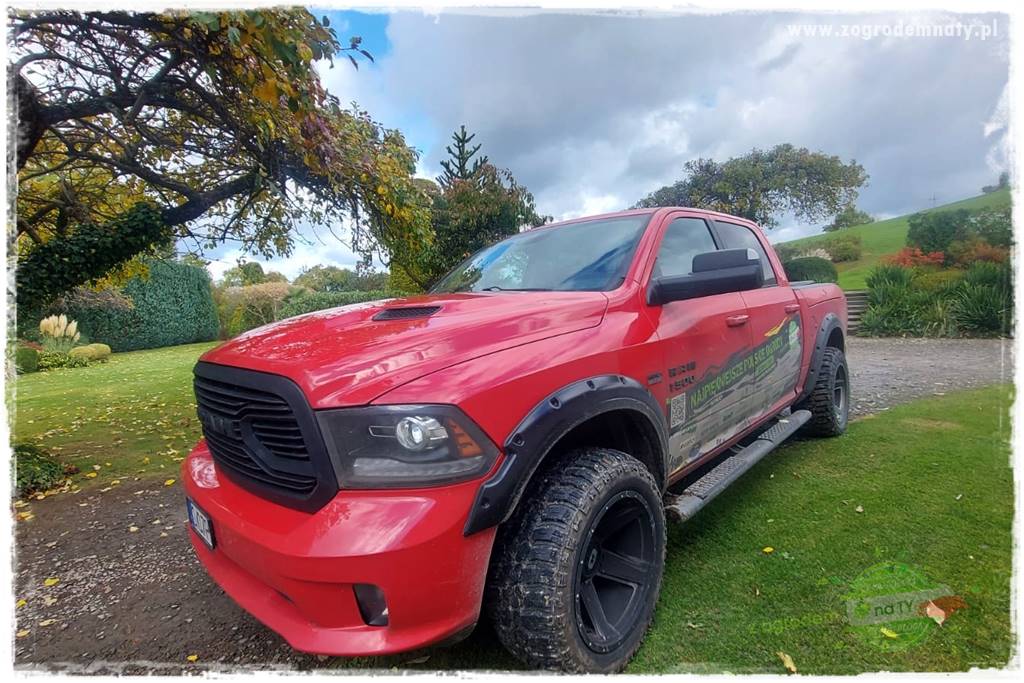 Ogrodowy zapał 404 Ogrodowy zapał 404