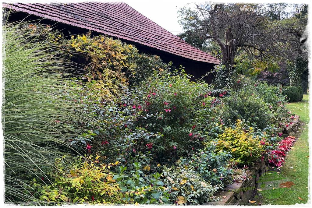 Ogrodowy zapał 405 Ogrodowy zapał 405