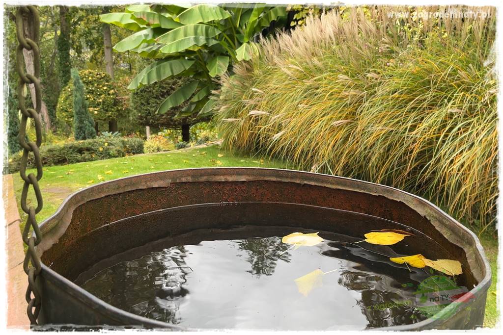 Ogrodowy zapał 406 Ogrodowy zapał 406