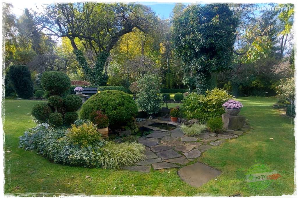 Ogrodowy zapał 407 Ogrodowy zapał 407