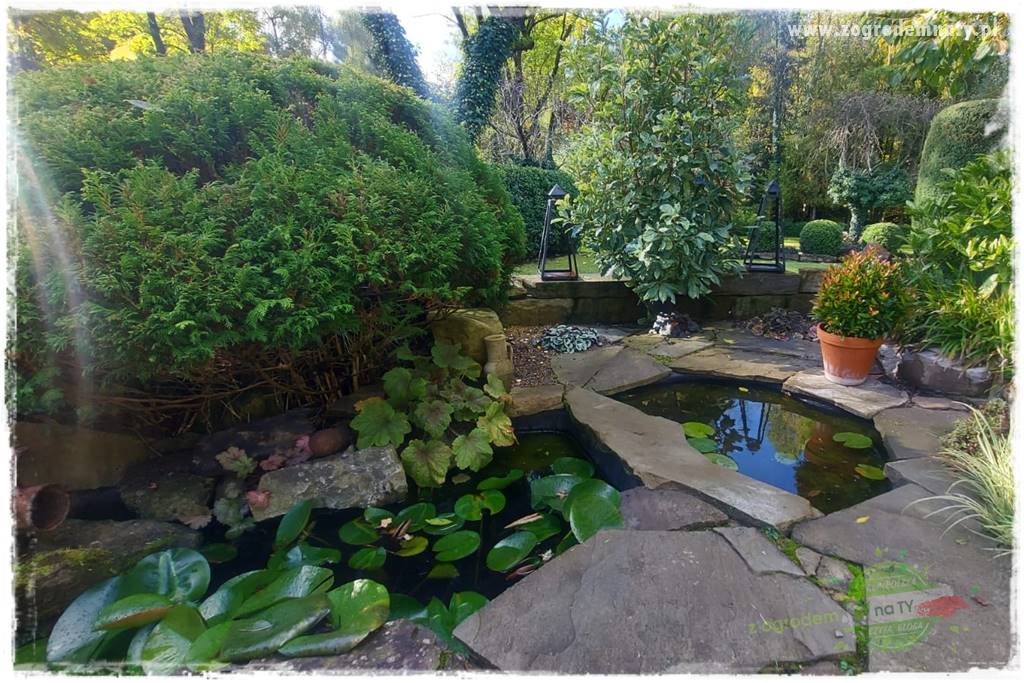 Ogrodowy zapał 410 Ogrodowy zapał 410