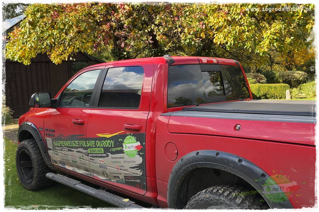 Ogrodowy zapał 411 Ogrodowy zapał 411