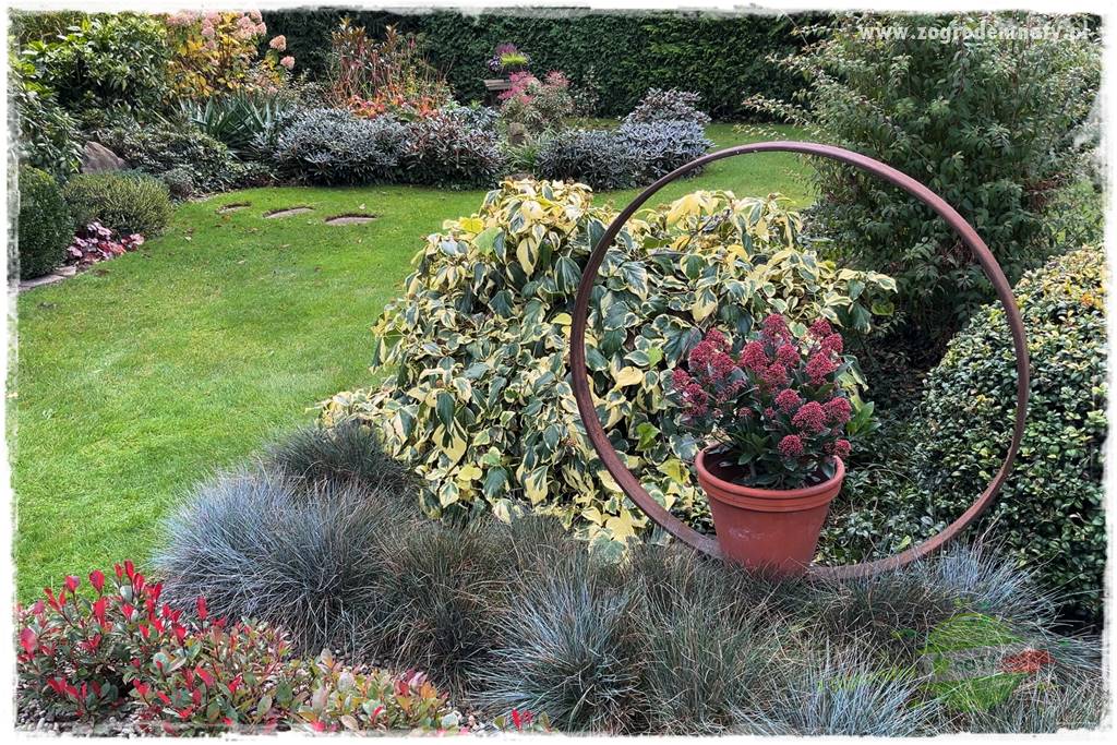 Ogrodowy zapał 413 Ogrodowy zapał 413