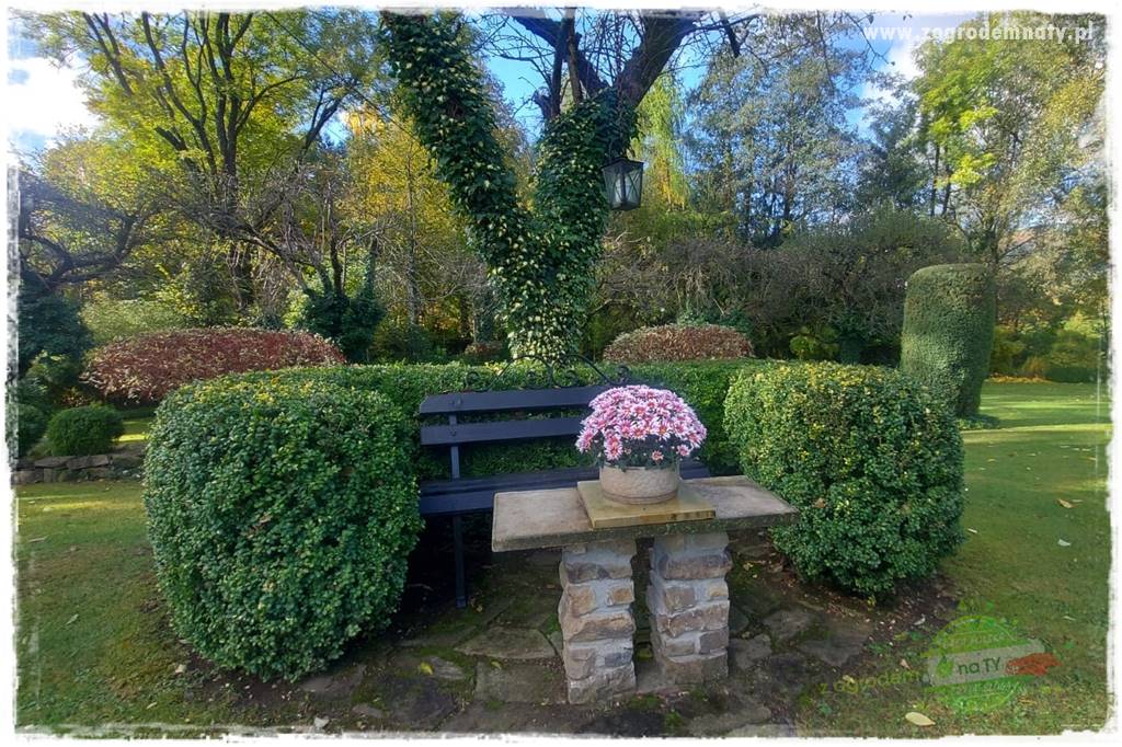 Ogrodowy zapał 414 Ogrodowy zapał 414