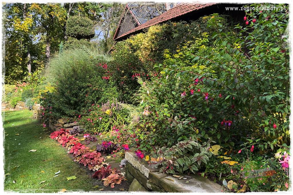 Ogrodowy zapał 418 Ogrodowy zapał 418