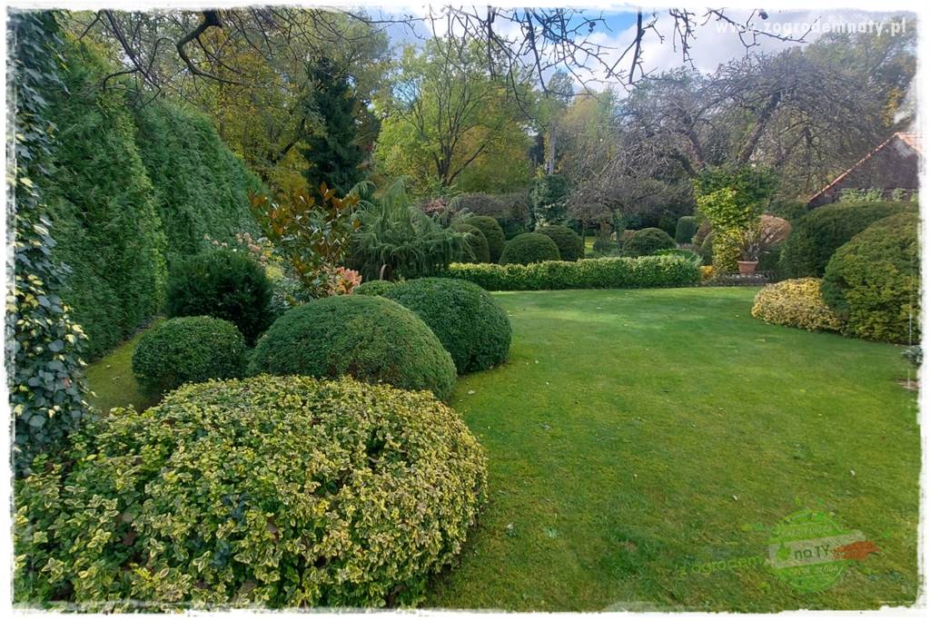 Ogrodowy zapał 419 Ogrodowy zapał 419