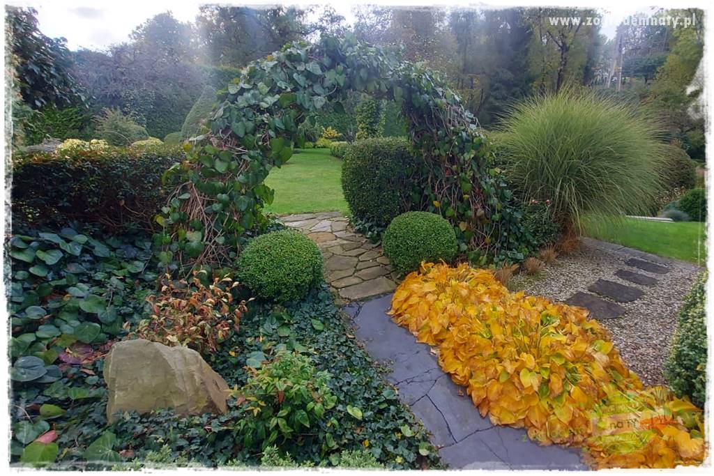 Ogrodowy zapał 42 Ogrodowy zapał 42