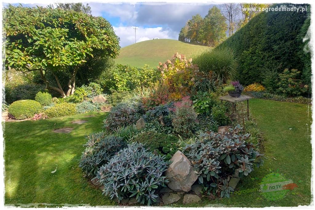 Ogrodowy zapał 422 Ogrodowy zapał 422