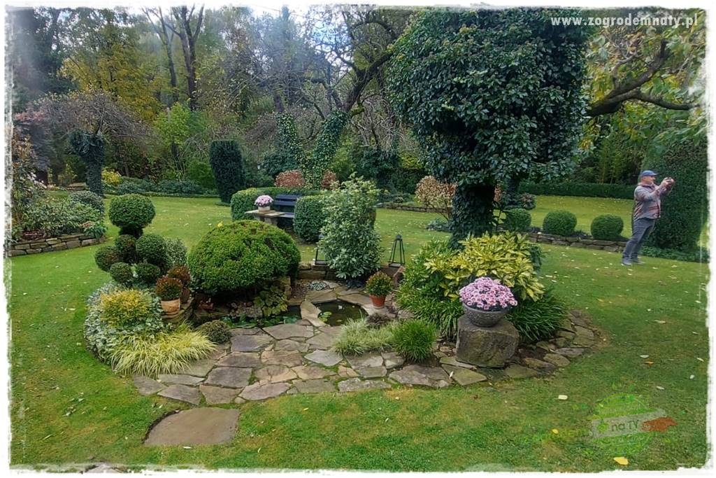 Ogrodowy zapał 424 Ogrodowy zapał 424