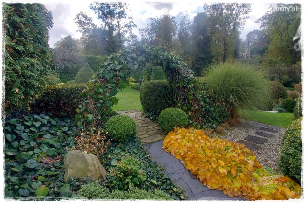 Ogrodowy zapał 427 Ogrodowy zapał 427