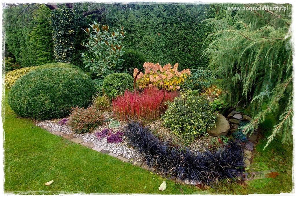 Ogrodowy zapał 428 Ogrodowy zapał 428