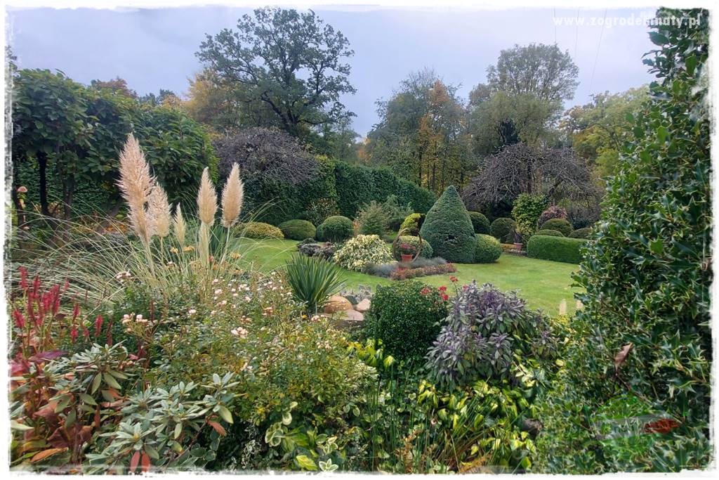 Ogrodowy zapał 430 Ogrodowy zapał 430