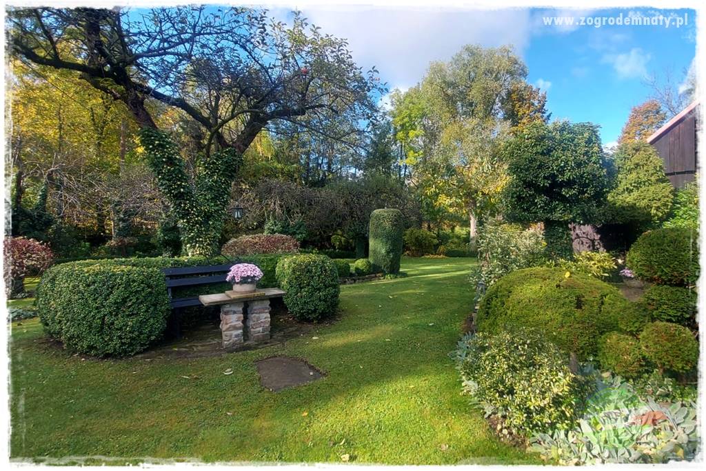 Ogrodowy zapał 434 Ogrodowy zapał 434