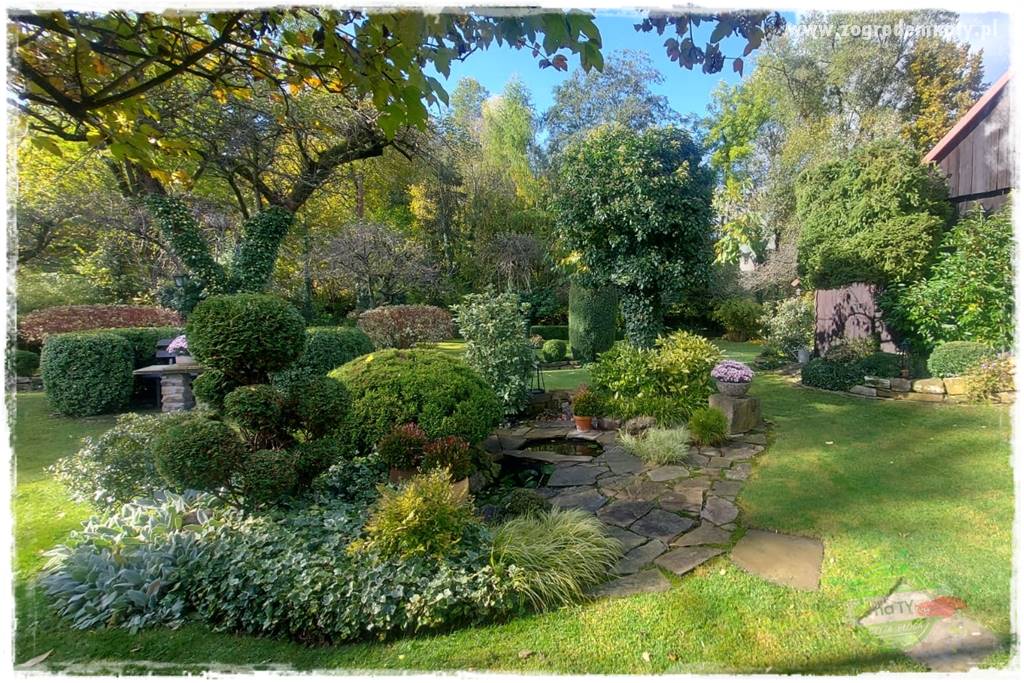 Ogrodowy zapał 436 Ogrodowy zapał 436