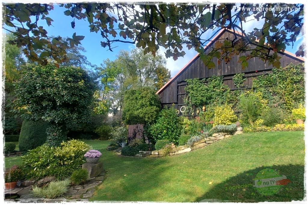 Ogrodowy zapał 44 Ogrodowy zapał 44