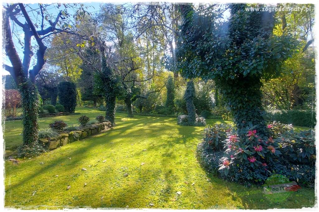 Ogrodowy zapał 45 Ogrodowy zapał 45