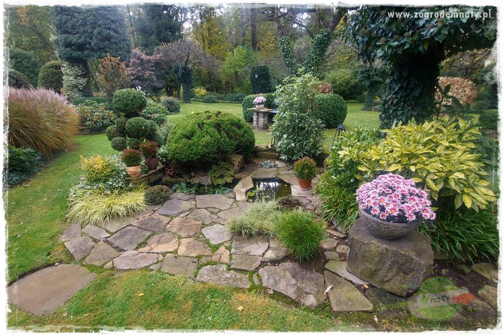 Ogrodowy zapał 46 Ogrodowy zapał 46