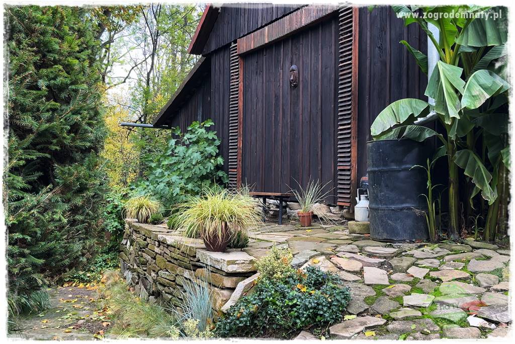 Ogrodowy zapał 5 Ogrodowy zapał 5