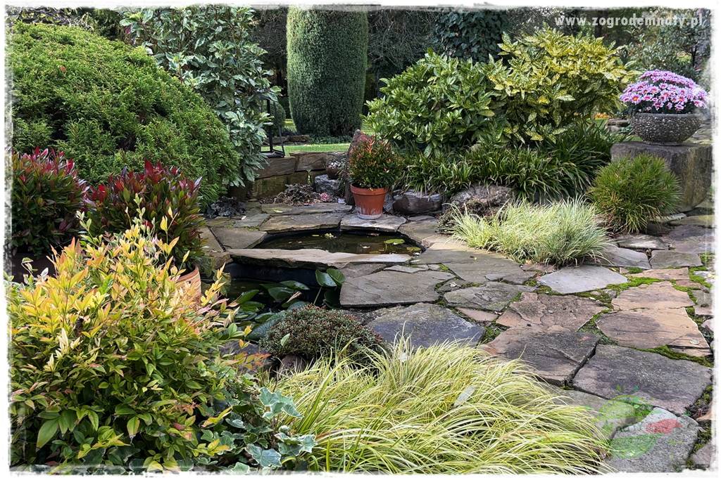 Ogrodowy zapał 50 Ogrodowy zapał 50