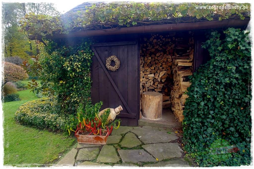 Ogrodowy zapał 6 Ogrodowy zapał 6