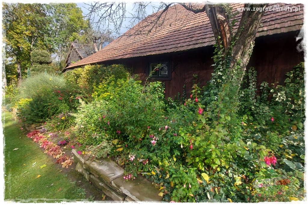 Ogrodowy zapał 7 Ogrodowy zapał 7