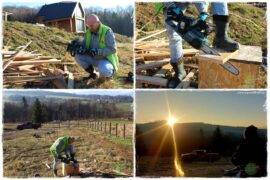odzyskujemy drewno 1
