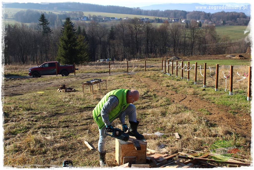 odzyskujemy drewno 15 odzyskujemy drewno 15