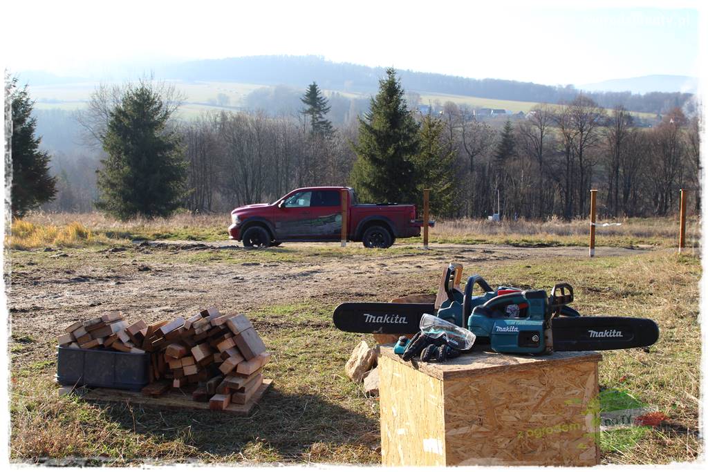 odzyskujemy drewno 40