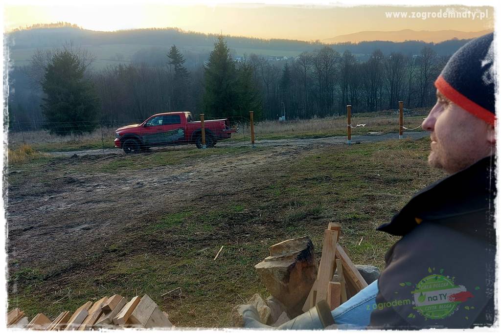 odzyskujemy drewno 42 odzyskujemy drewno 42